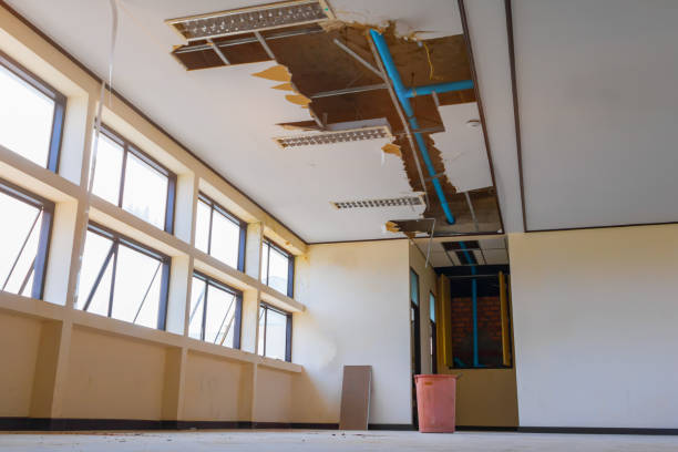 Best Local water damage restoration  in Margate City, NJ