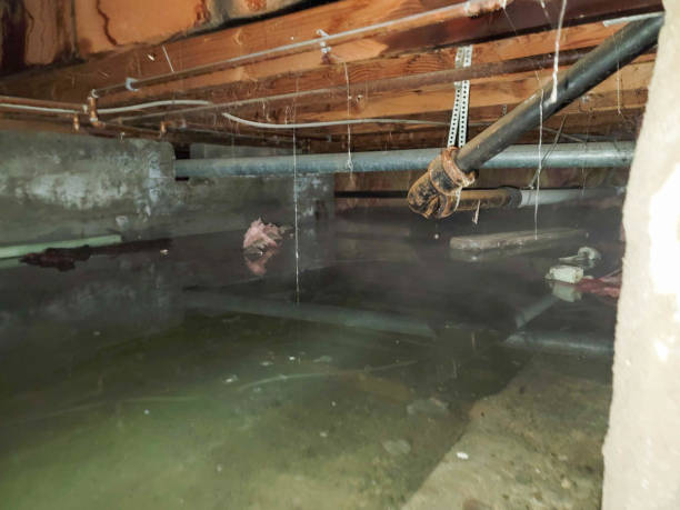 Best Water damage cleanup near me  in Margate City, NJ