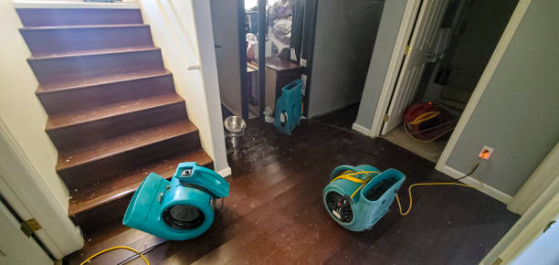 Best Emergency water extraction  in Margate City, NJ