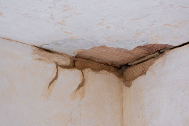 Best Mold removal after water damage  in Margate City, NJ