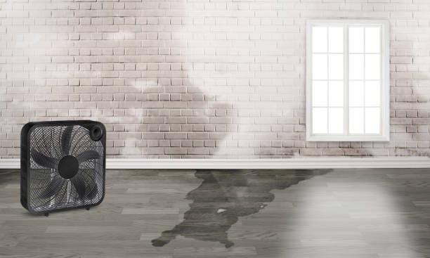 Best Residential water damage restoration  in Margate City, NJ
