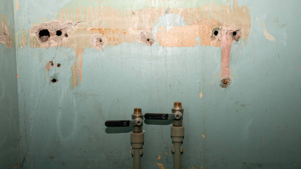 Best Water damage restoration process  in Margate City, NJ