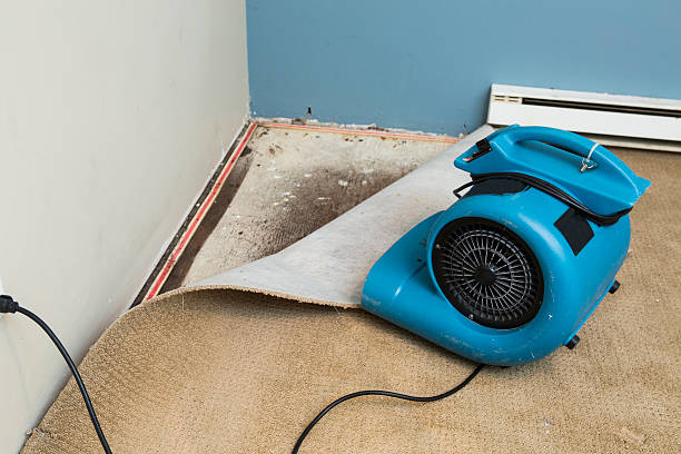 Water damage restoration experts in Margate City, NJ